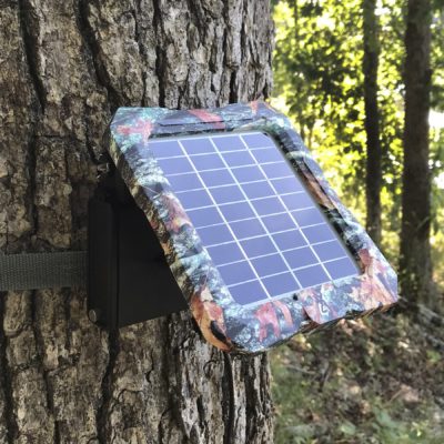 Panneau solaire 12V pour piège photographique