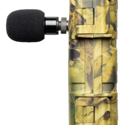 Microphone enregistrement ultrason cris de chauves souris enregistreur passif Titley anabat swift anabat express full spectrum zero crossing