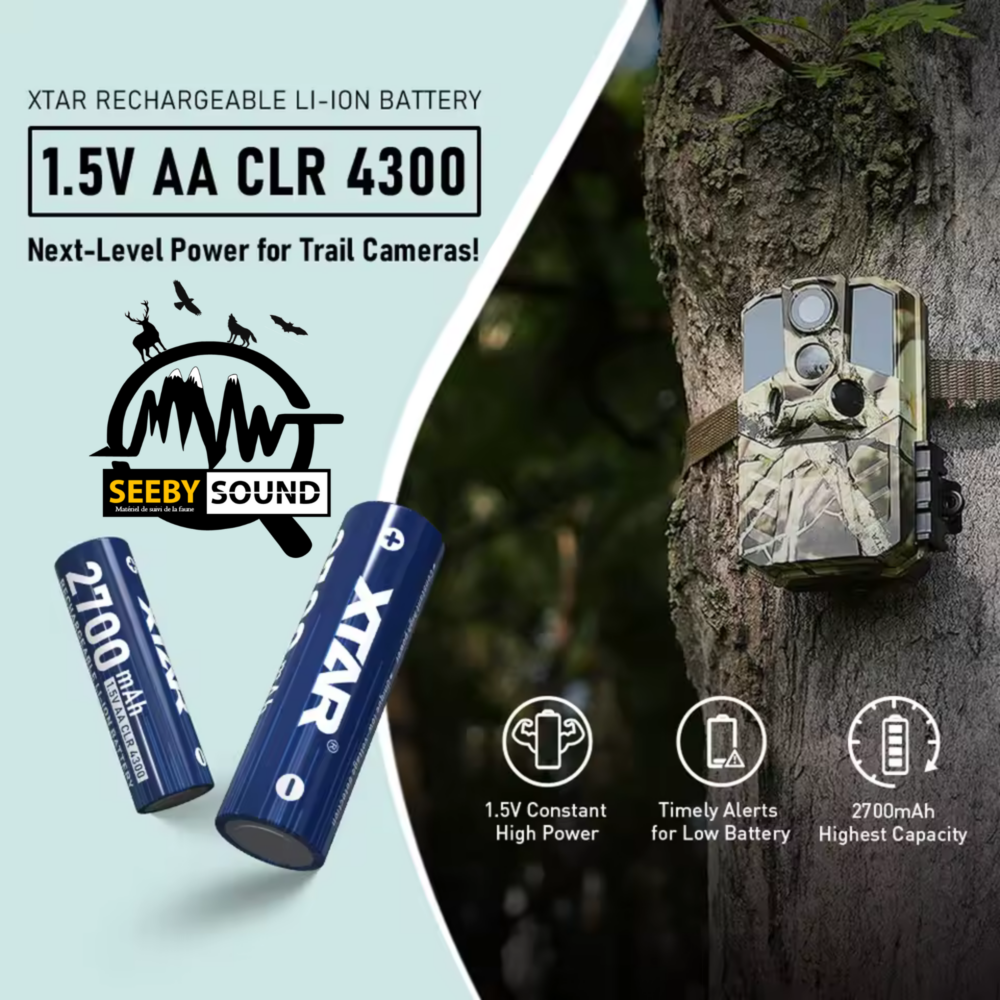 Piles Li-ion lithium ion batterie battery rechargeable AA lithium pas cher lifepo4 piège photographique duracell energizer ebl lithium AA caméra lampe torche XTAR