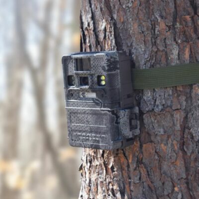 HCO Spartan Lumen