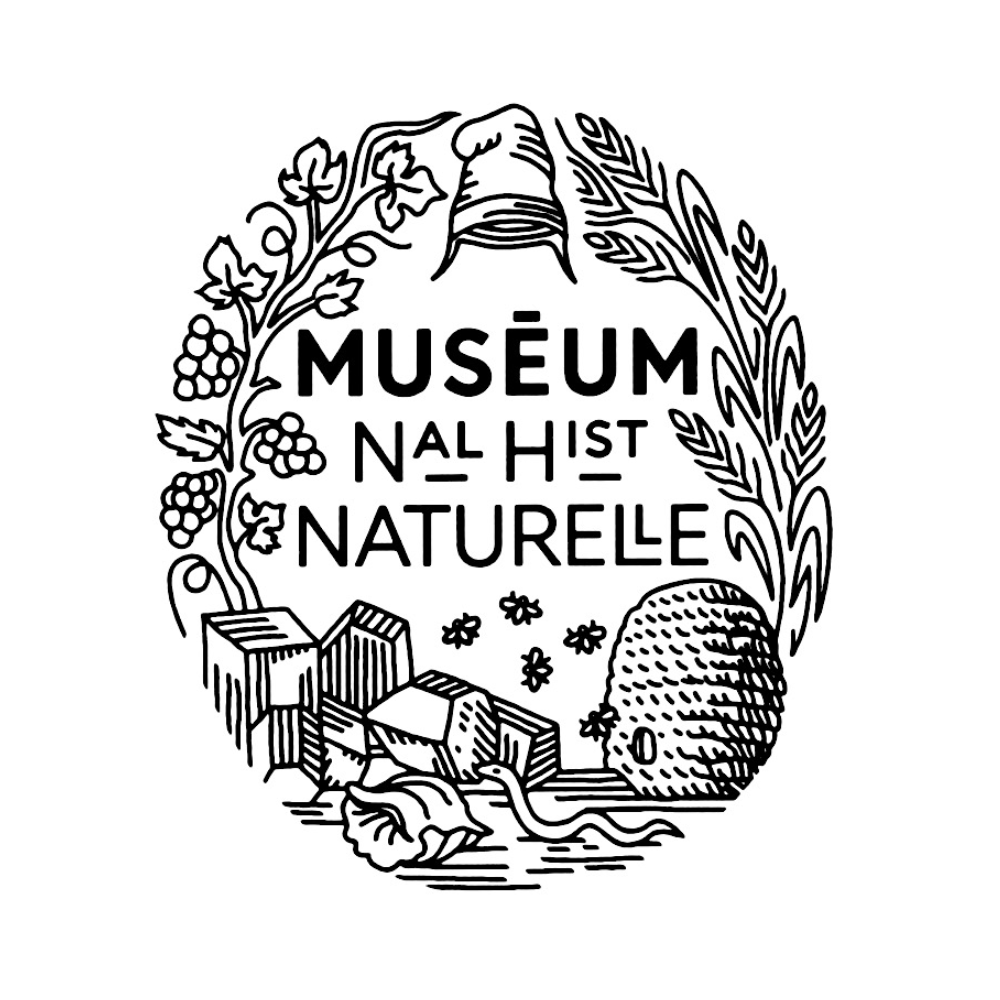 Muséum