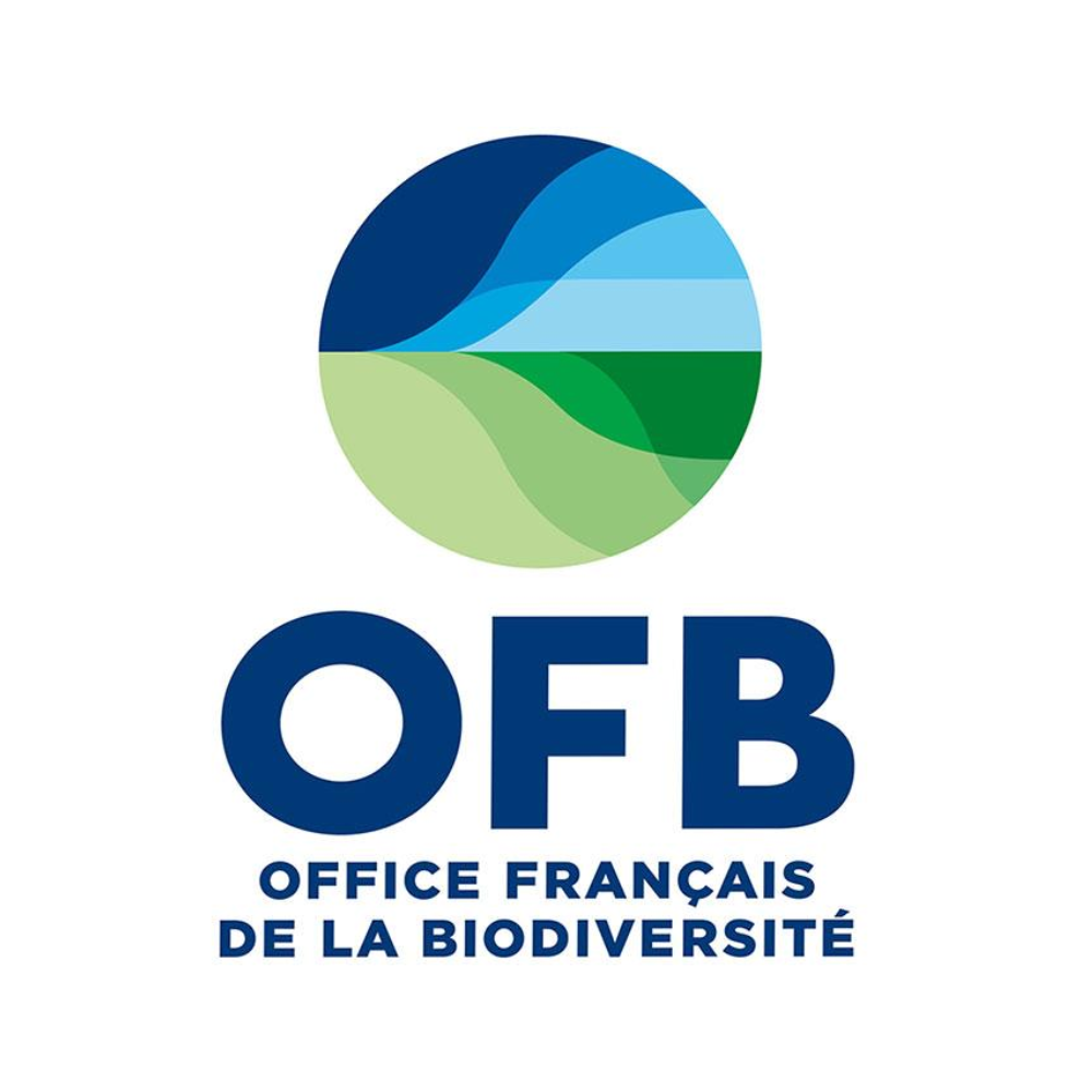 OFB