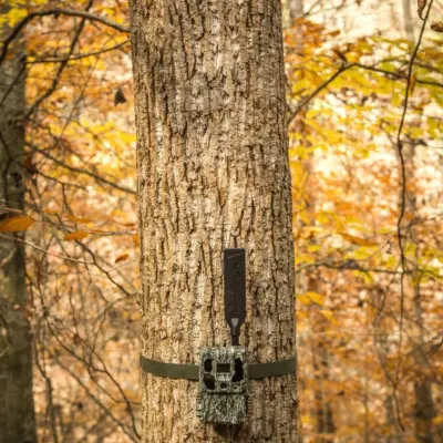 Defender Pro Scout Max HD Solar - Camouflage